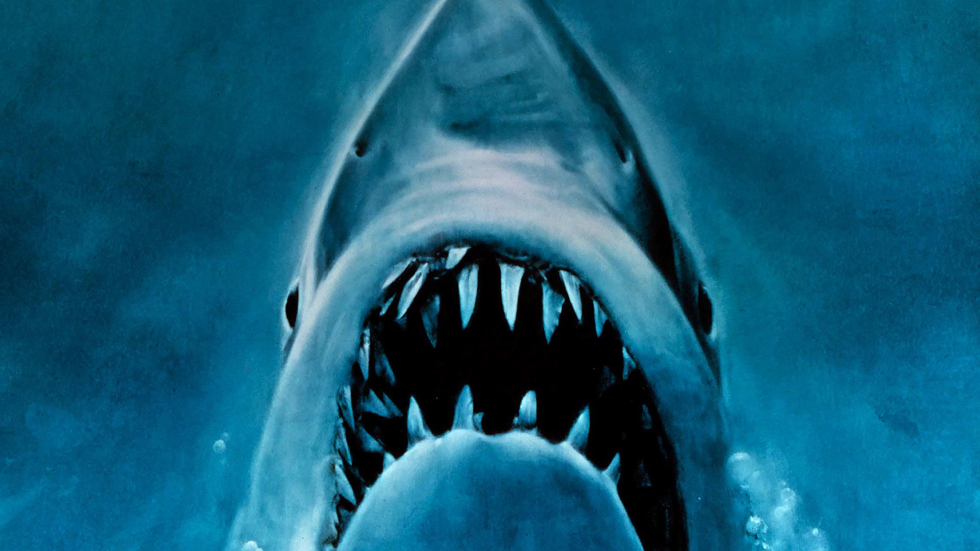 Jaws, still 4
