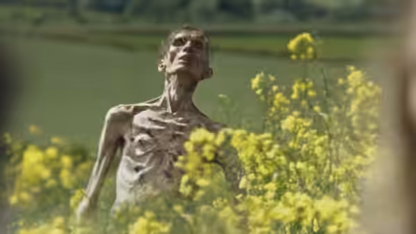 an emaciated figure standing amid yellow flowers under blue sky