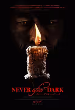 Never After Dark poster 4