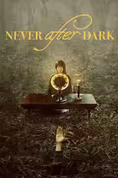 Never After Dark poster 3