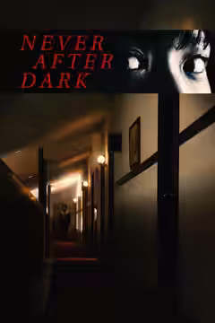 Never After Dark poster 1