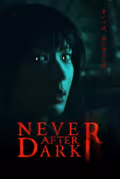 Never After Dark poster 5