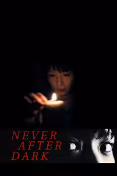 Never After Dark poster 2