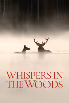 Whispers in the Woods poster