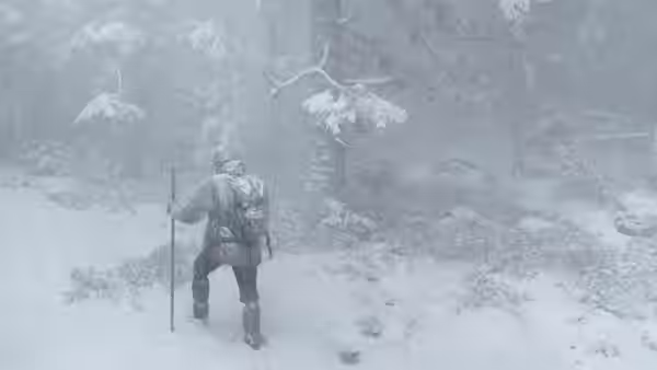 A bundled traveler walks through falling snow in a forest, carrying a pack and walking stick