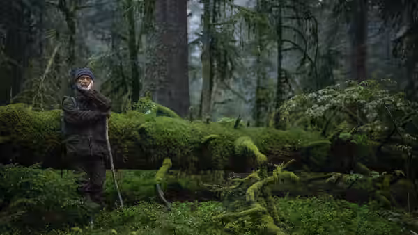 A bundled man stands beside a moss-covered fallen tree in the forest, holding a walking stick