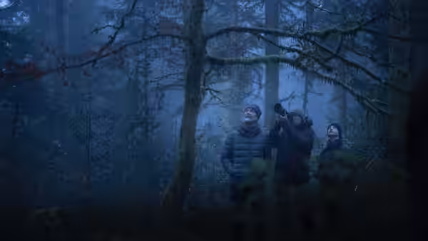 Three men stand beneath towering trees in a shadowy forest, looking up into the branches