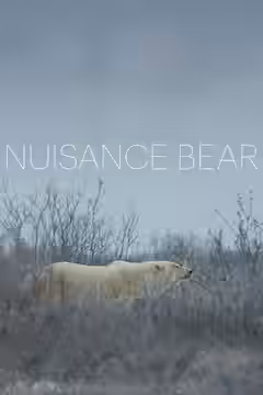 Nuisance Bear poster 3