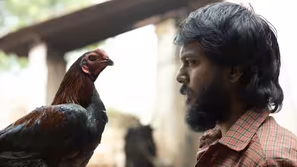 A bearded man studies a rooster perched beside him