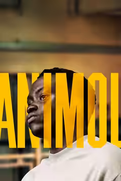 Animol poster 1