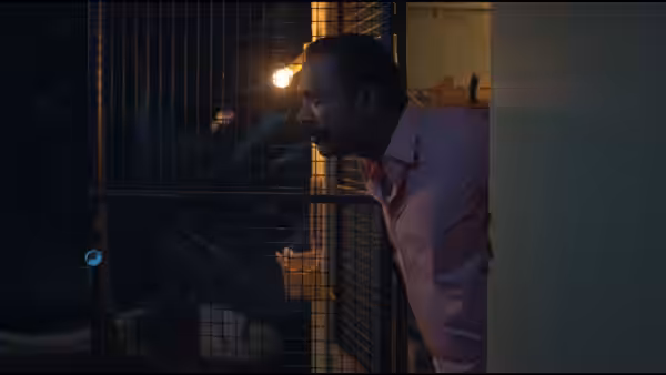 A man in a pink shirt leans around a wall to peer through a metal gate