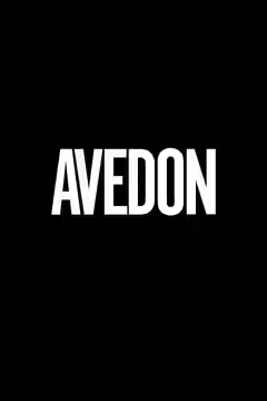 Avedon poster 1