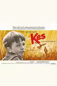 Kes poster 2