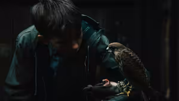 Billy (Dai Bradley) feeds raw meat to his kestrel indoors