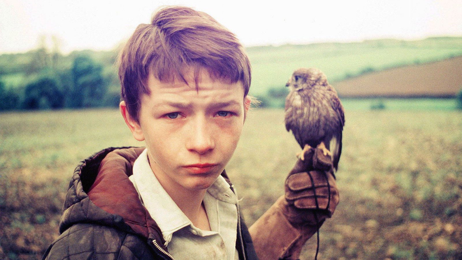 Kes, still 2