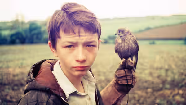 Billy (Dai Bradley) holds a kestrel on his gloved hand in a field