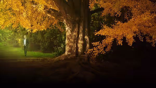 A woman stands beneath a sprawling tree in an autumn garden