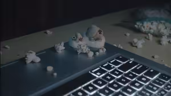Two small shells eating popcorn on a laptop keyboard