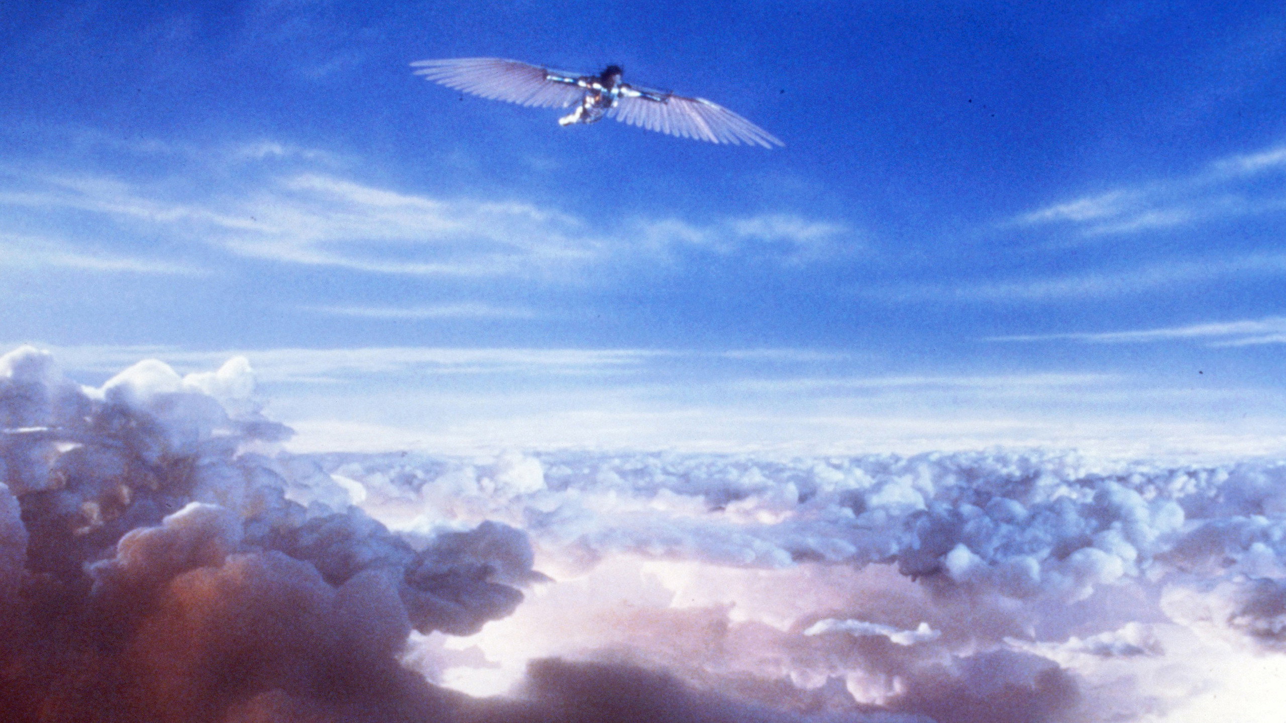Brazil, still 4