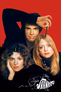 Shampoo poster