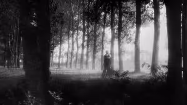 A lone figure stands among tall trees in a misty forest