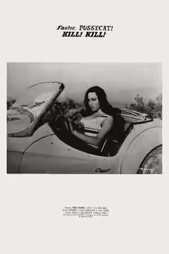 Faster, Pussycat! Kill! Kill! poster 7