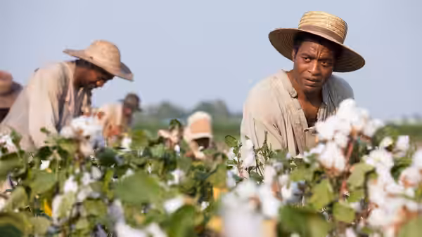 Solomon Northup (Chiwetel Ejiofor) picks cotton among other workers in a field