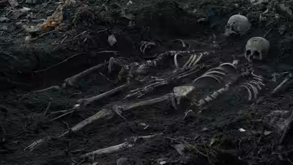 Human skeletons lie exposed in dark, muddy earth