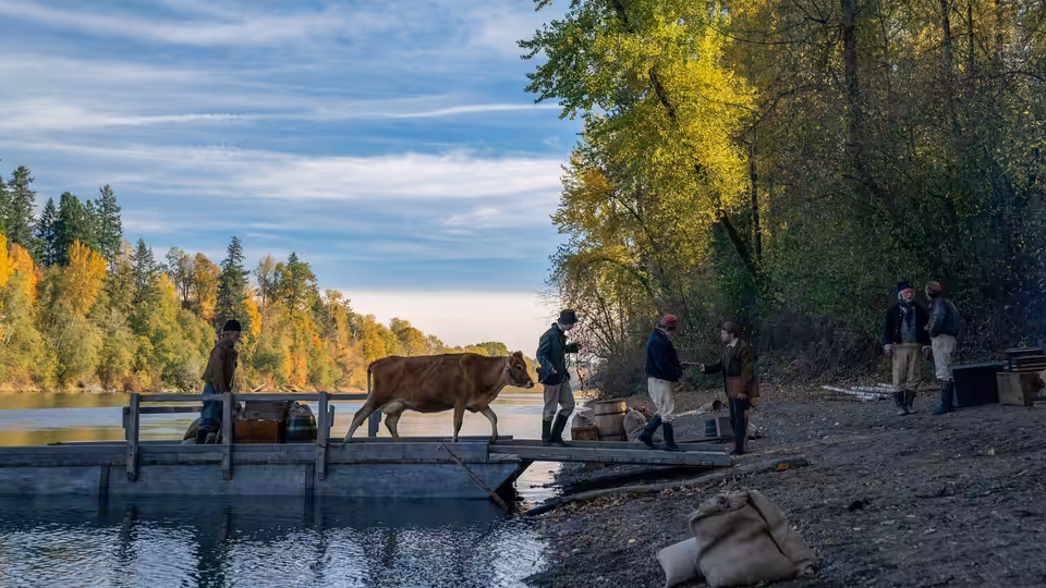 Men lead a cow across a wooden crossing beside a forested river