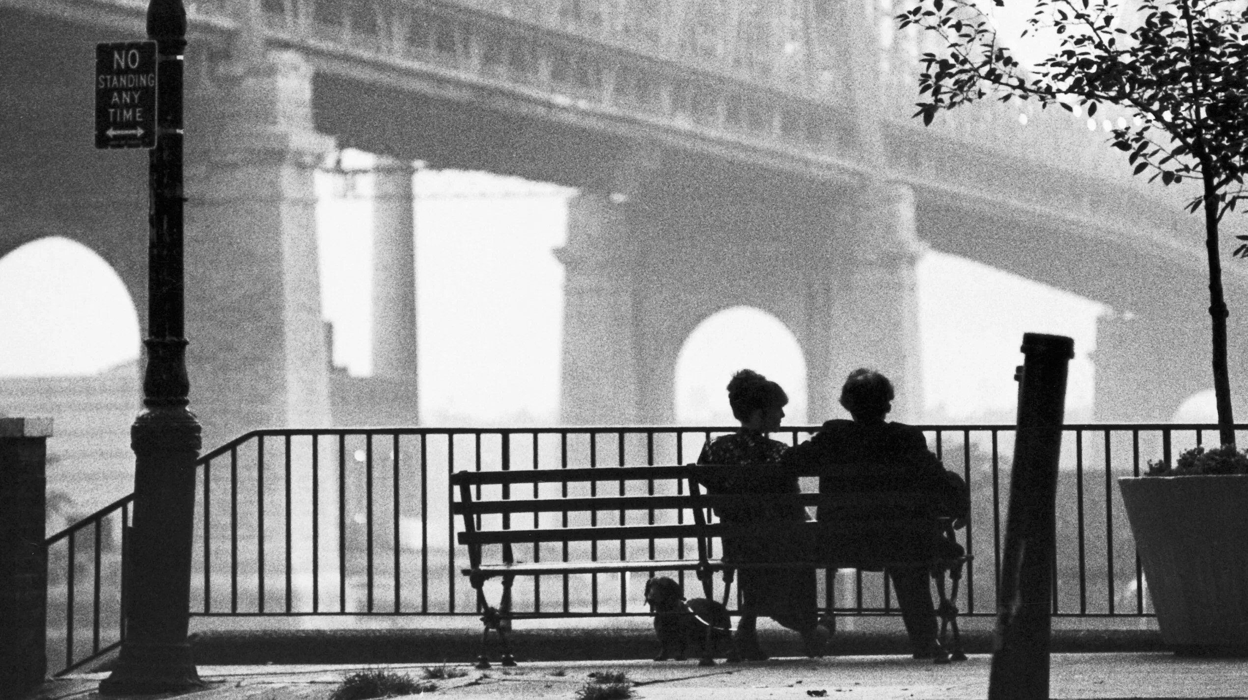 Manhattan, still 1