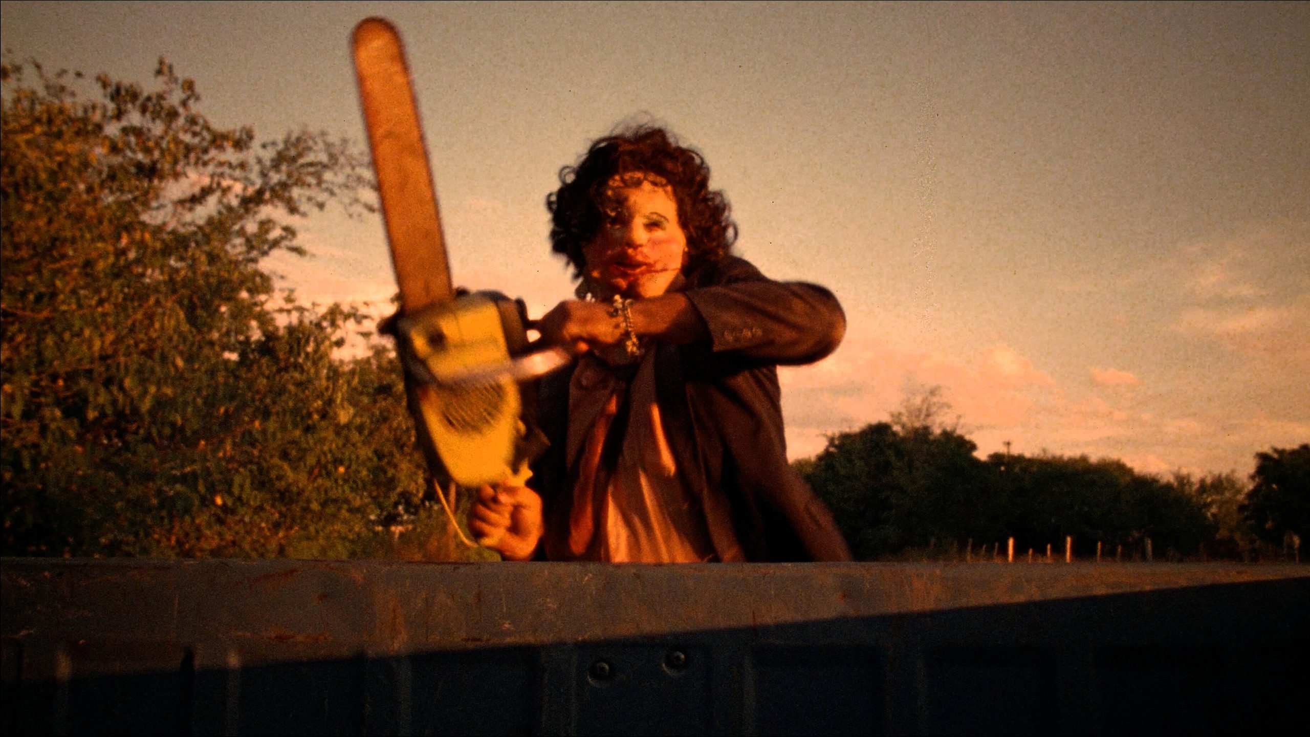 The Texas Chain Saw Massacre, still 3
