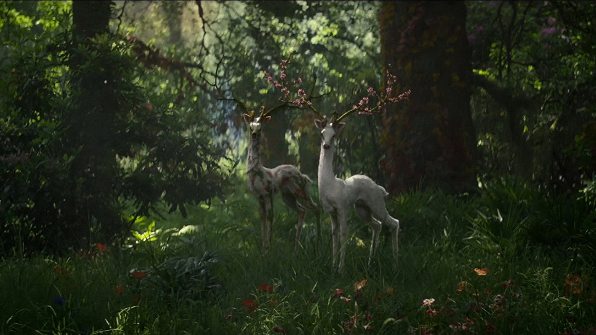Annihilation, still 5