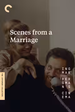 Scenes from a Marriage poster 3