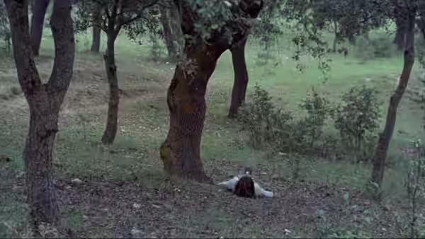 A girl lies alone on the grass beneath trees in a wooded grove