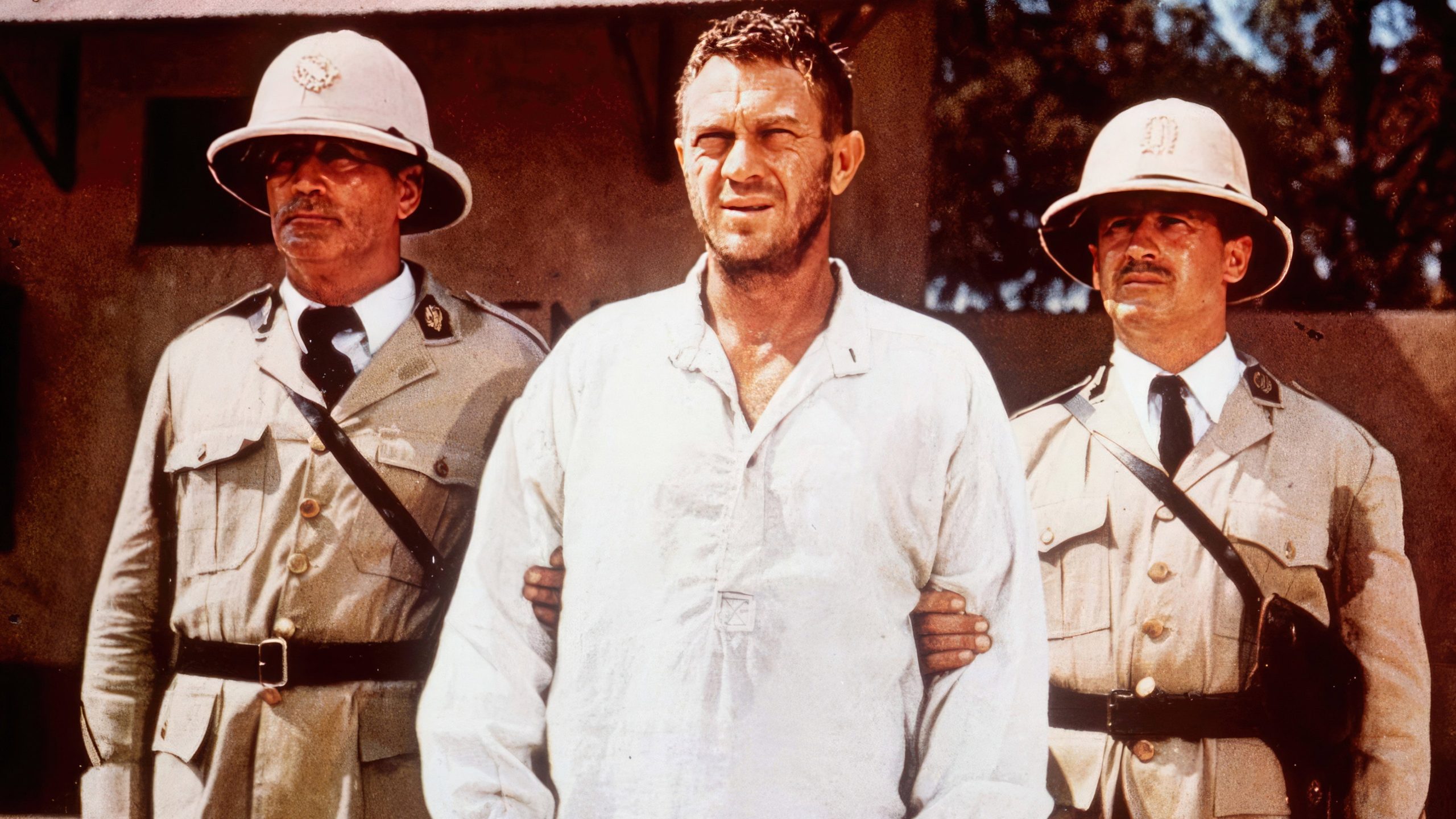 Papillon, still 4