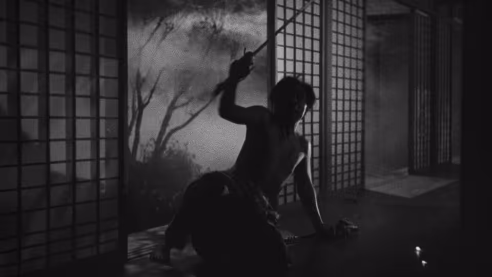 A silhouetted woman raises her arm inside a room of sliding screens