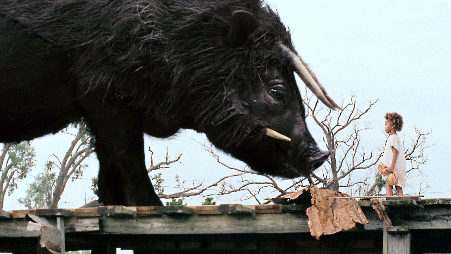 Beasts of the Southern Wild, still 1