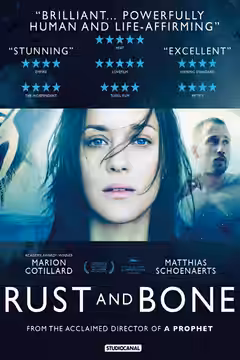 Rust and Bone poster 3