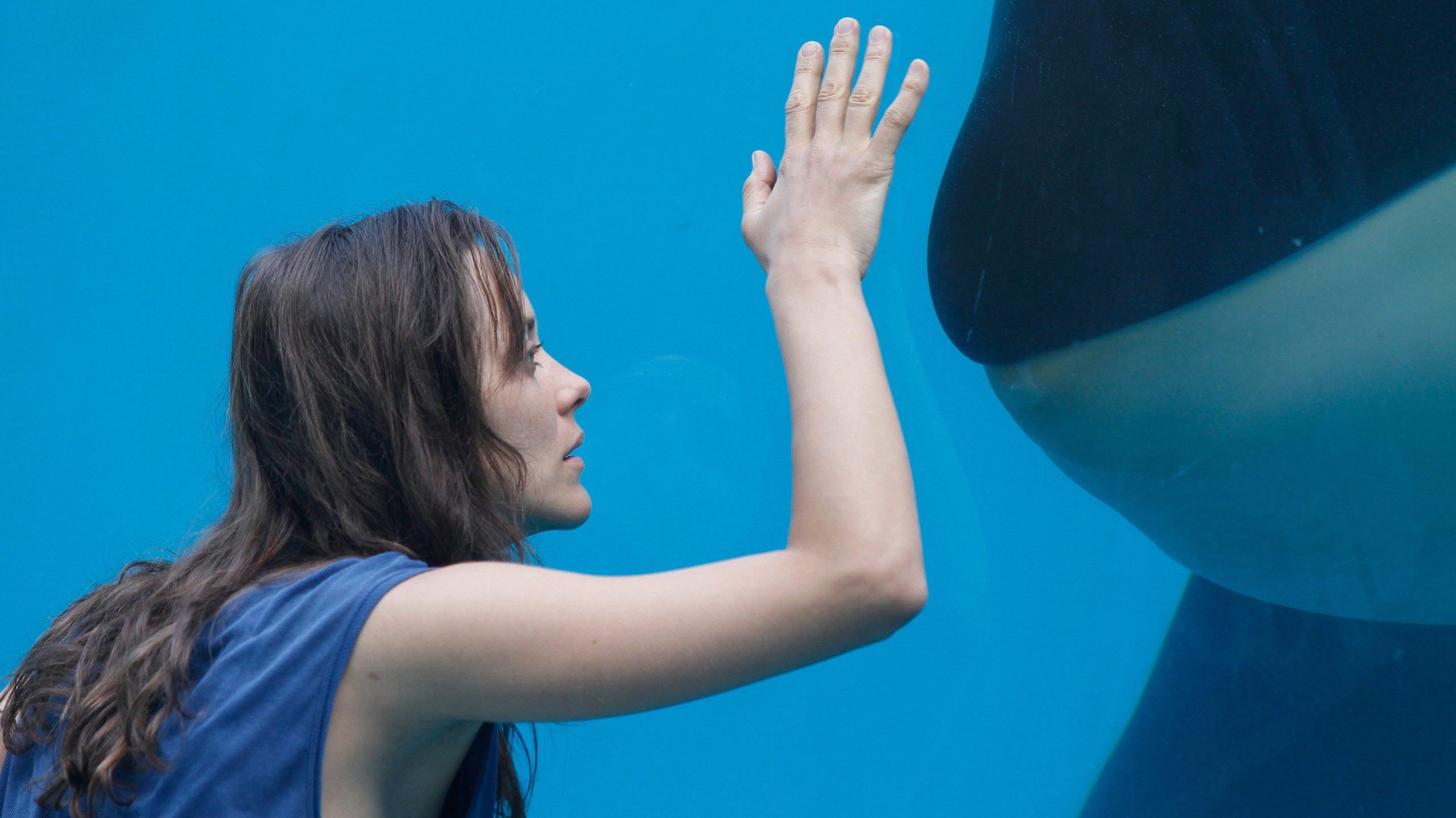 Rust and Bone, still 1