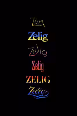 Zelig poster