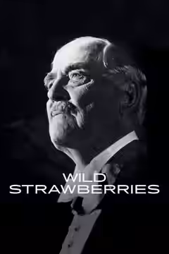 Wild Strawberries poster 2