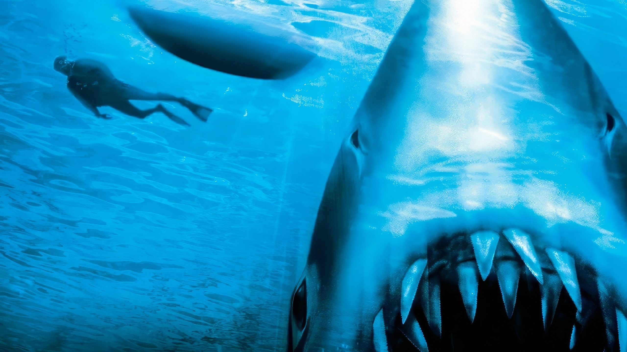 Jaws: The Revenge, still 1