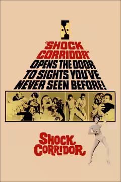 Shock Corridor poster 5