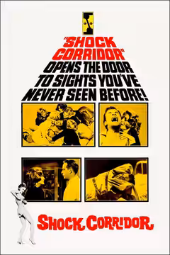 Shock Corridor poster 4