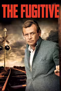 The Fugitive poster