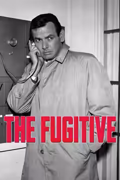 The Fugitive poster 3