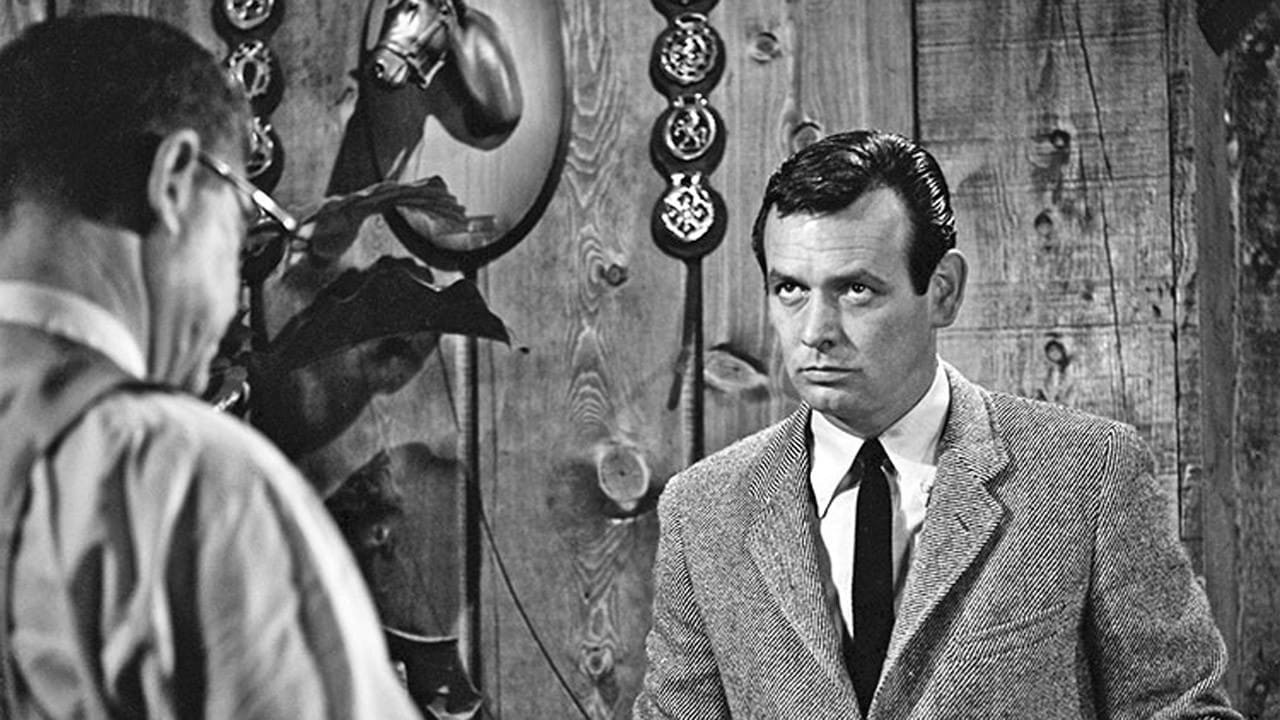 The Fugitive, still 2