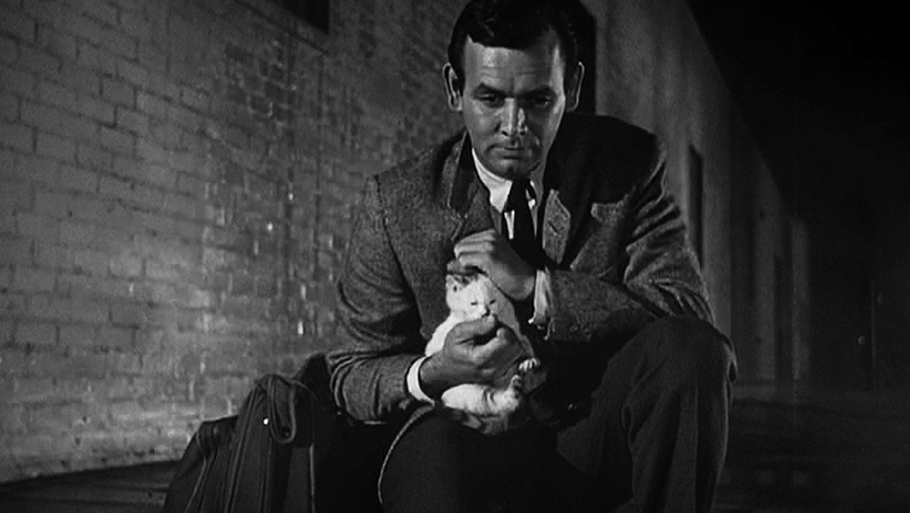 The Fugitive, still 3
