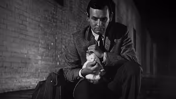 Richard Kimble (David Janssen) sitting on steps holding a cat at night
