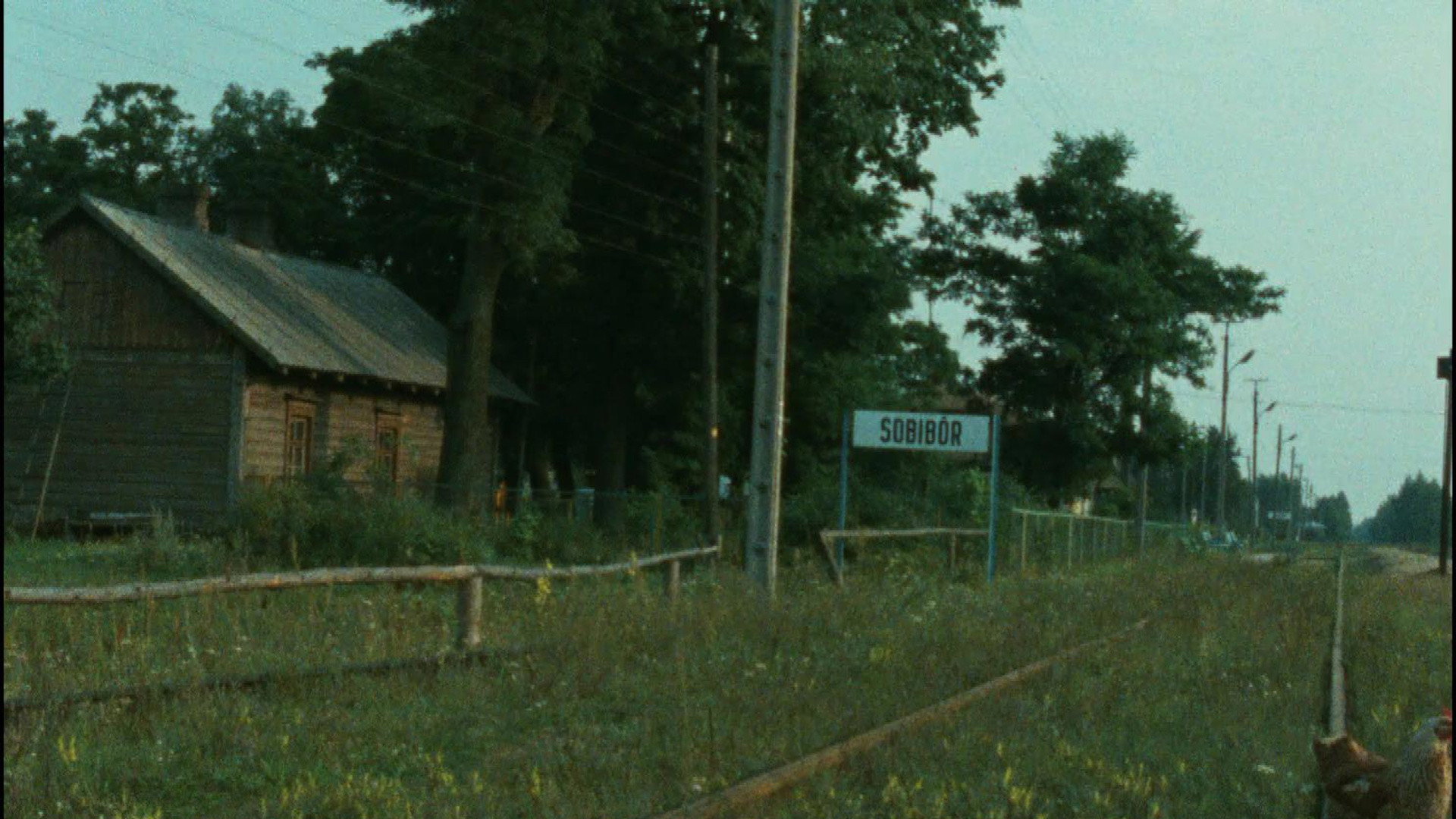 Shoah, still 3